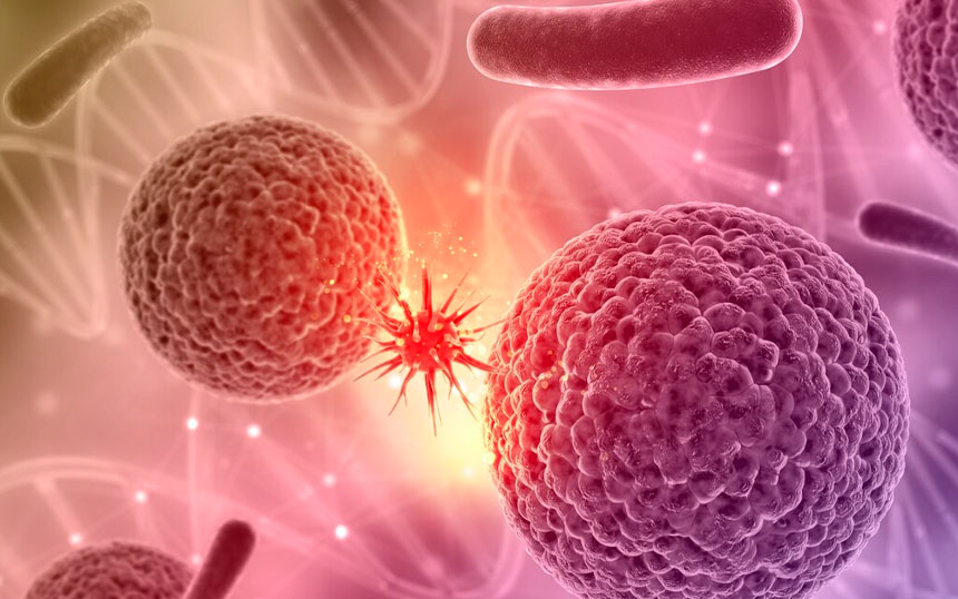 Câncer De Bexiga: Anticorpos Direcionados Podem Tratar A Doença