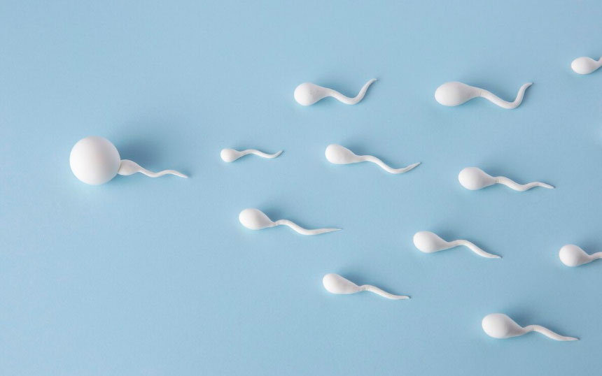 Câncer de testículo - Preservação da fertilidade: opções antes do tratamento