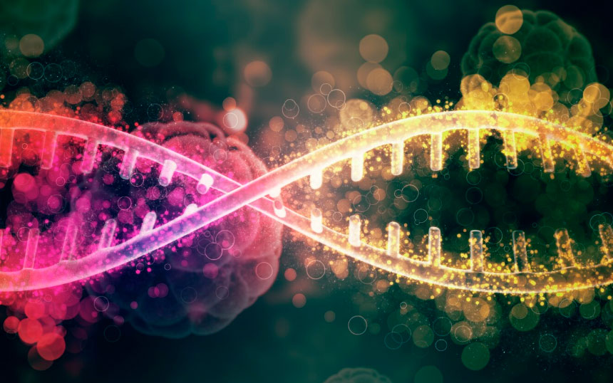 Perspectivas futuras